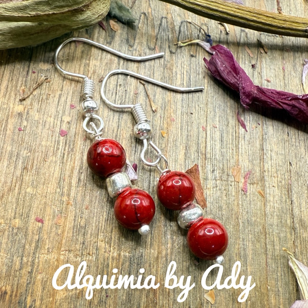 Simple Red Turquoise Silver Earrings 36$